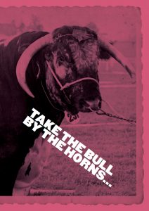 An historic image of a bull with the slogan "Take the bull by the horns"